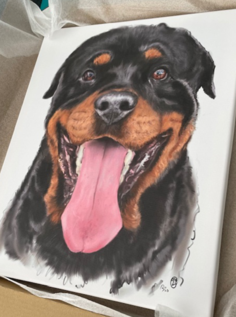 Pet canvases, these are a perfect gift for any occasion. 